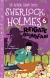 Sherlock Holmes Kitap Seti-2 (5 Kitap)